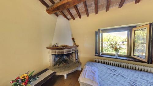 alloggio_del_gallo_cucina_caminetto_wide