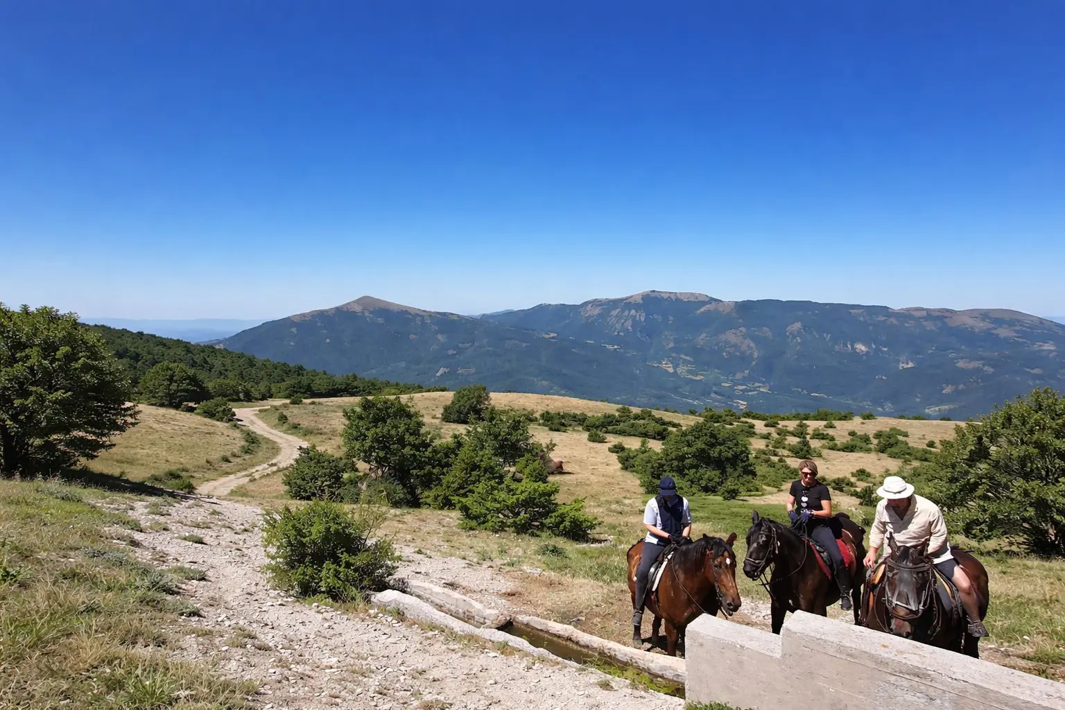 Ponti primaverili in Valnerina: idee ed esperienze tra natura e borghi