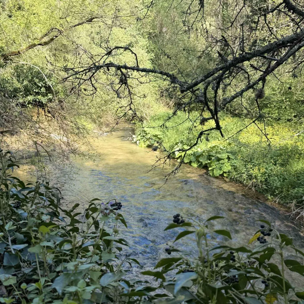 fiume corno nera triponzo vicino balza tagliata